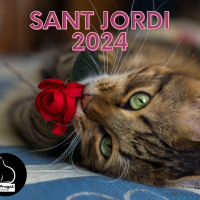 Sant Jordi 2024 🌹